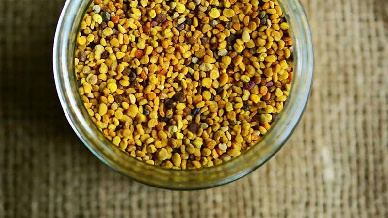 Pollen – The Complete Natural Vitamin
